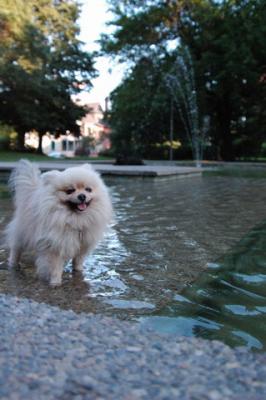 Aug1e_04_162.JPG