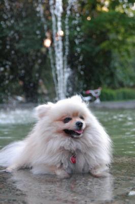 Aug1e_04_219.JPG