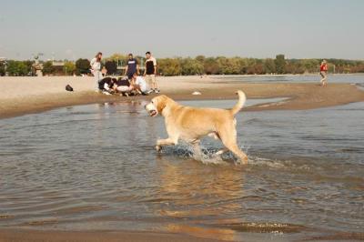 Oct7g_04_238.JPG