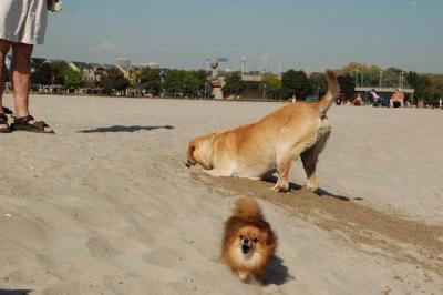 Oct7g_04_250.JPG