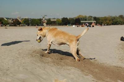 Oct7g_04_263.JPG