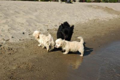 Oct7g_04_308.JPG