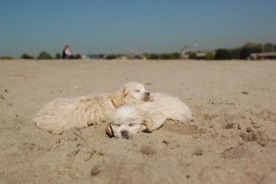 Oct7b_04_139.JPG
