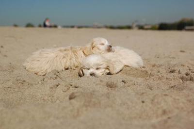 Oct7b_04_141.JPG