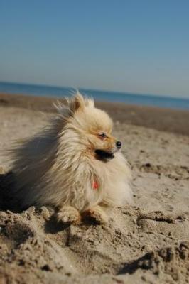 Oct7b_04_169.JPG