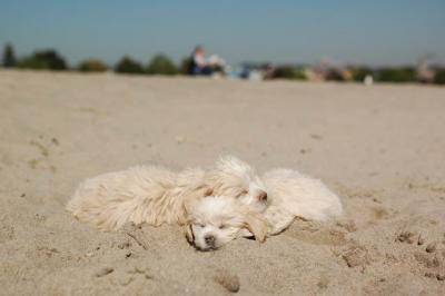 Oct7b_04_184.JPG