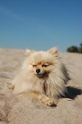 Oct7b_04_206.JPG