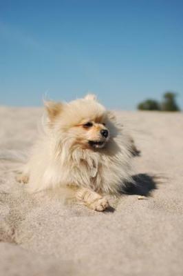 Oct7b_04_209.JPG