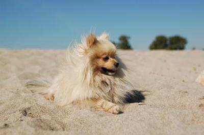 Oct7b_04_217.JPG