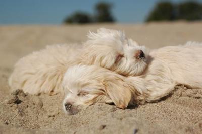 Oct7b_04_242.JPG
