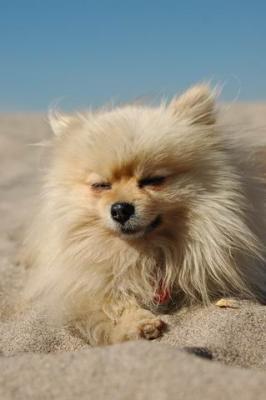 Oct7b_04_258.JPG