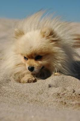 Oct7b_04_265.JPG