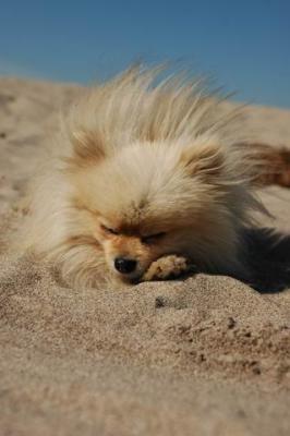 Oct7b_04_268.JPG