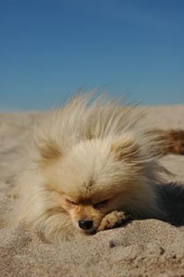 Oct7b_04_273.JPG