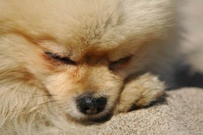 Oct7b_04_280.JPG