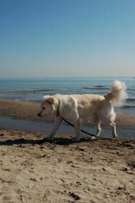 Oct7c_04_020.JPG