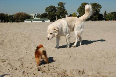 Oct7c_04_037.JPG