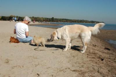 Oct7c_04_075.JPG