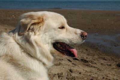 Oct7c_04_078.JPG