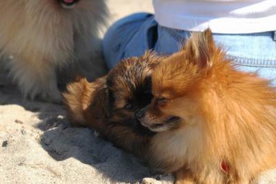 Oct7c_04_096.JPG