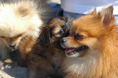 Oct7c_04_105.JPG