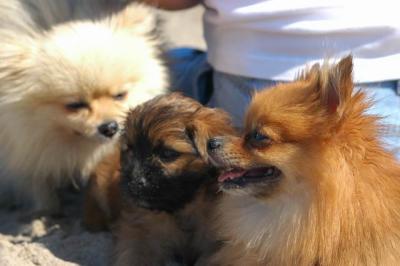 Oct7c_04_110.JPG