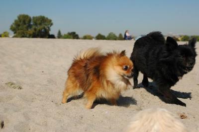 Oct7c_04_144.JPG