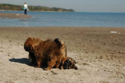 Oct7c_04_204.JPG