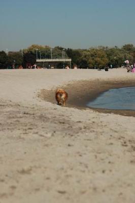 Oct7d_04_015.JPG