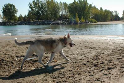 Oct7d_04_054.JPG
