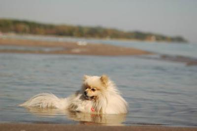 Oct7d_04_324.JPG