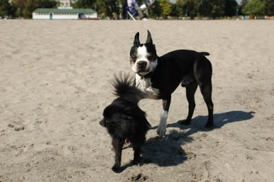 Oct7e_04_013.JPG