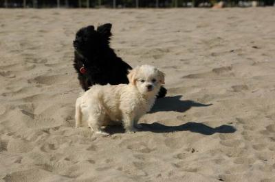 Oct7e_04_018.JPG