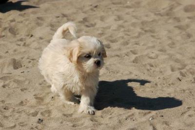 Oct7e_04_028.JPG