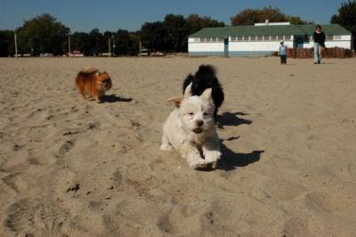 Oct7_04_102.JPG