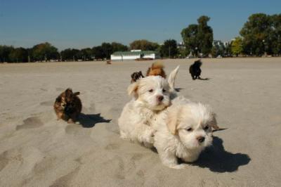 Oct7_04_584.JPG