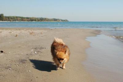 Oct7_04_605.JPG