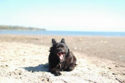 Oct7a_04_473.JPG