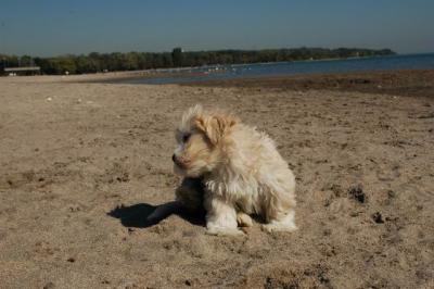 Oct7a_04_523.JPG