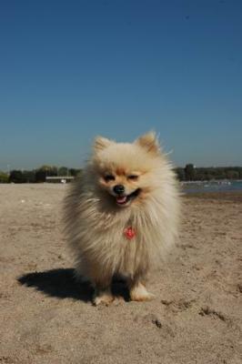 Oct7a_04_532.JPG