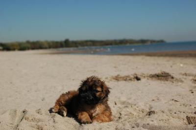 Oct7a_04_550.JPG