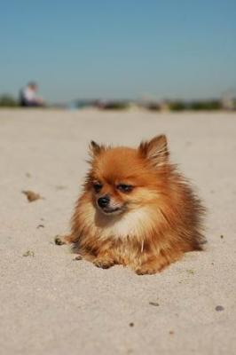 Oct7a_04_577.JPG