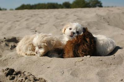 Oct7a_04_610.JPG