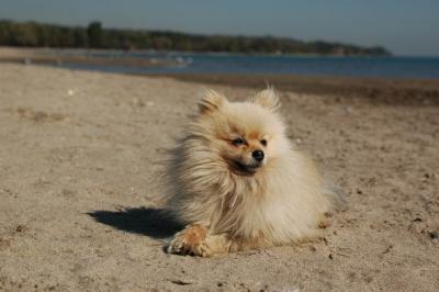 Oct7a_04_636.JPG