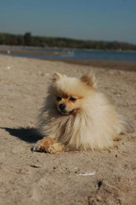 Oct7a_04_644.JPG