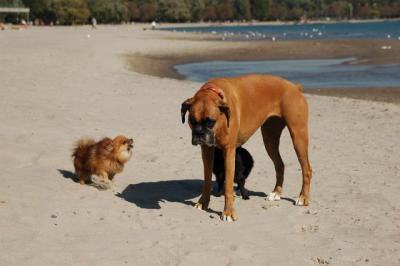 Oct7a_04_665.JPG