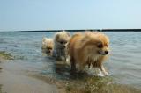 Aug2_04_035.JPG
