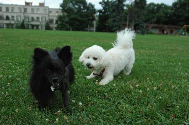 Aug5a_04_110.JPG