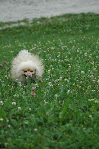 Aug5a_04_244.JPG