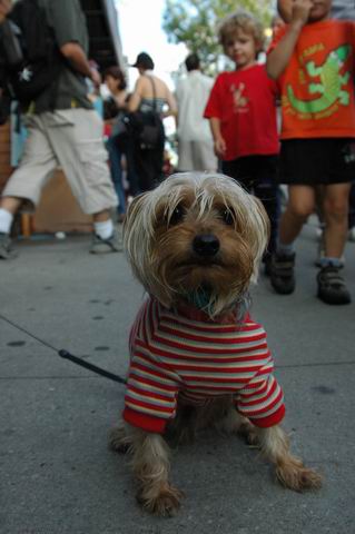 Aug8_04_421.JPG